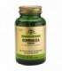 SPF EQUINACEA-RAIZ Y HOJA 60 Vcaps