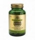 SPF GINSENG COREANO-RAIZ 60 Vcaps