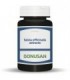 SALVIA OFFICINALIS EXTRACTO 60 Caps