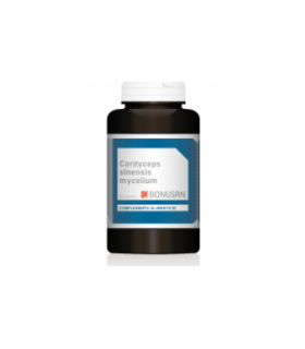 CORDYCEPS SINENSIS MYCELIUM