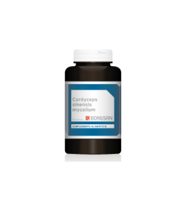 CORDYCEPS SINENSIS MYCELIUM