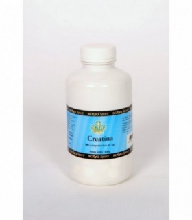 CREATINA MASTICABLE 300 Comp de 1 gr
