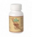 LEVADURA GERMEN 600 mg 125Comp