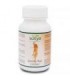 GINSENG ROJO COREANO 90Cap