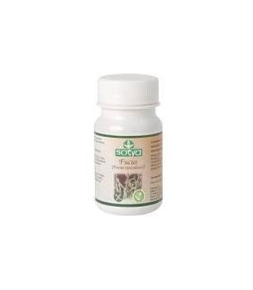 FUCUS  100 Comp