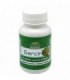 GARCINIA CAMBOGIA  90Cap