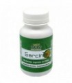 GARCINIA CAMBOGIA  90Cap
