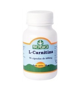 L CARNITINA 600 mg 90 Caps