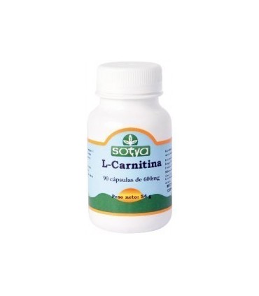 L CARNITINA 600 mg 90 Caps