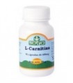 L CARNITINA 600 mg 90 Caps