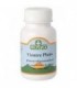 VIENTRE PLANO 600 mg 100 Comp