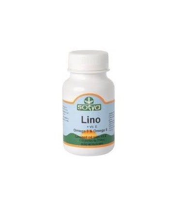 ACEITE DE LINO 710 mg 110 Perl