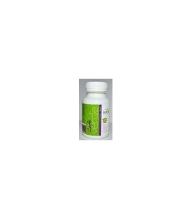 CAFE VERDE + GARCINIA 650MG  90CAPS.