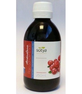 ARANDANO ROJO CONCENTRADO 250ML