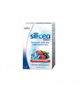 SILICEA DIRECT + BIOTINA + SELENIO 15 sticks