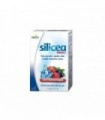 SILICEA DIRECT + BIOTINA + SELENIO 15 sticks