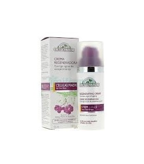 CREMA CELULAS MADRE REGENADORA 50 ml
