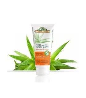 EXFOLIANTE FACIAL AMBAR, LIMA, ALOE VERA