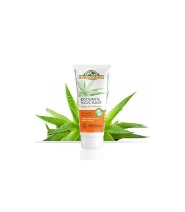 EXFOLIANTE FACIAL AMBAR, LIMA, ALOE VERA