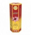 APICOL EXTRACTO PROPOLIS Y ECHINACEA 60 ml