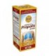 APICOL JARABE EXTRACTO PROPOLIS 250 ml