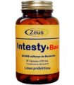 INTESTY + BAC transito intestinal 680 mg 90 Capsulas