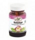 HARPAGO FORTE 75 Comp 760 mg