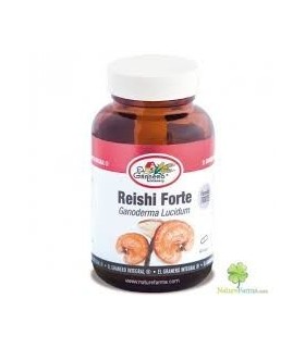 REISHI FORTE 60 Caps 610 mg