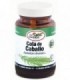 COLA CABALLO FORTE 600 mg 75 Comp