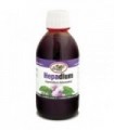 HEPADIUM 500 ml