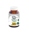 EXTRACTO DE CURCUMA+PIMIENTA  430 mg 60 Vcaps
